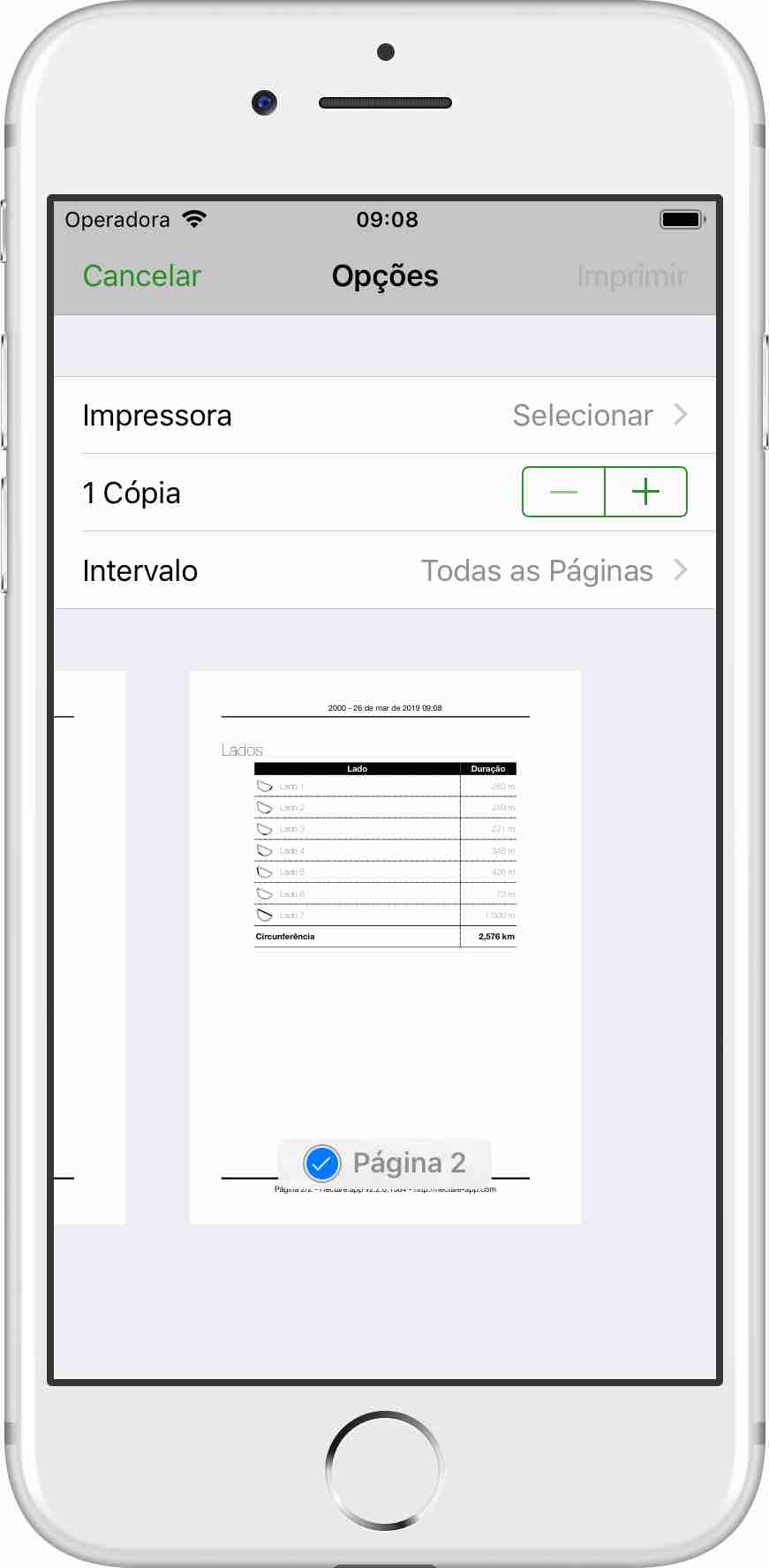 Screenshot of Page 2 of the printed page